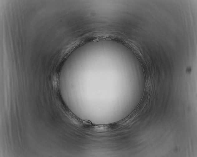 X0000091570335200708200956