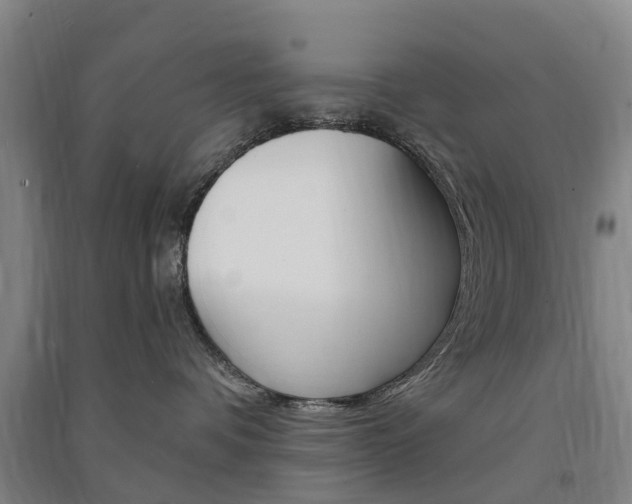 X0000091570336200708200956