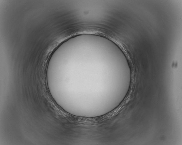 X0000091570337200708200956
