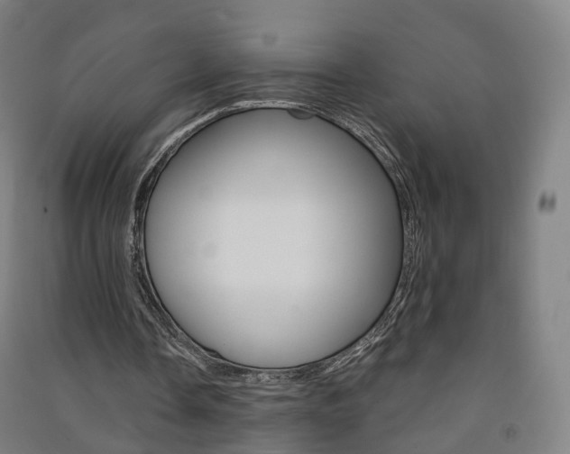 X0000091570338200708200956