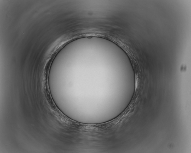 X0000091570339200708200956