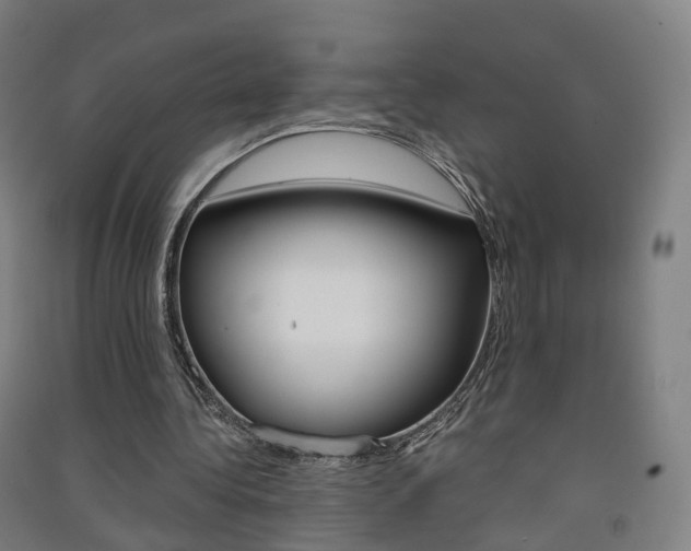 X0000091570340200708200956