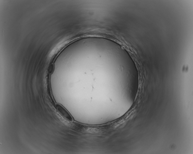 X0000091570341200708200956