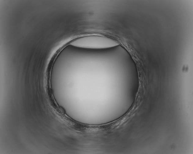 X0000091570342200708200956