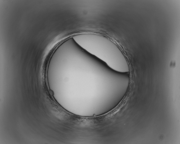 X0000091570343200708200956