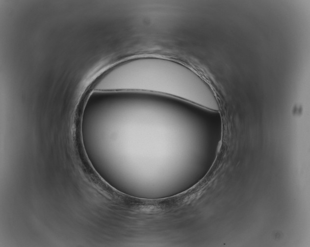 X0000091570344200708200956