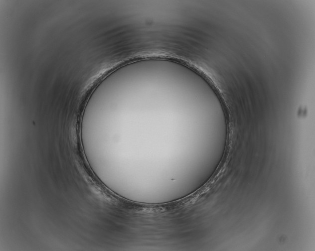 X0000091570345200708200956