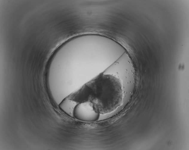 X0000091570346200708200956