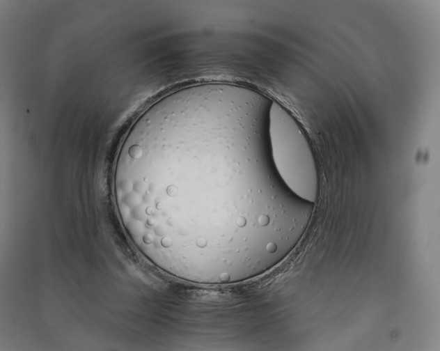 X0000091570347200708200956