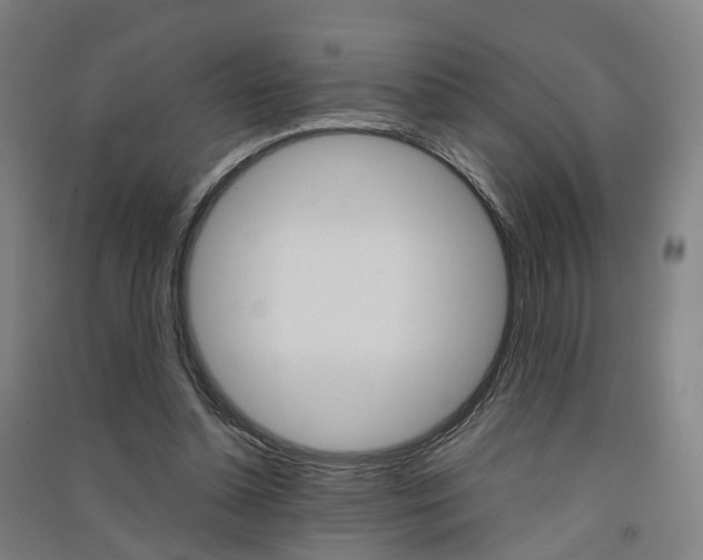 X0000091570348200708200956