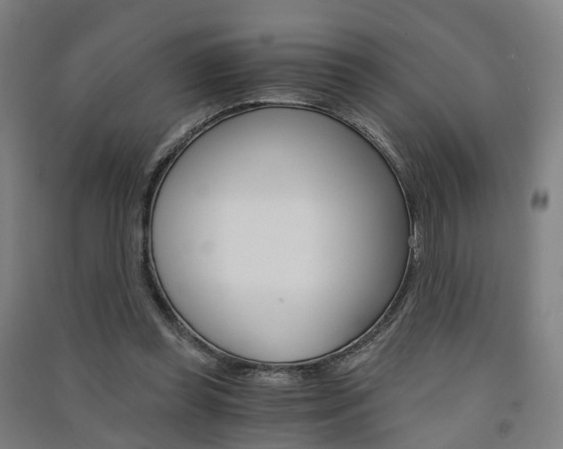 X0000091570349200708200956
