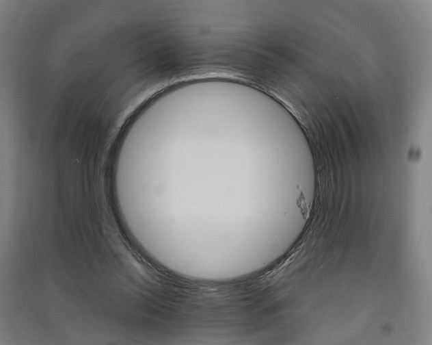 X0000091570350200708200956
