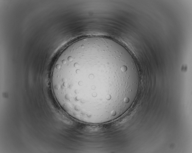 X0000091570351200708200956