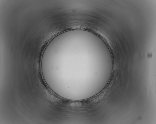 X0000091570353200708200956