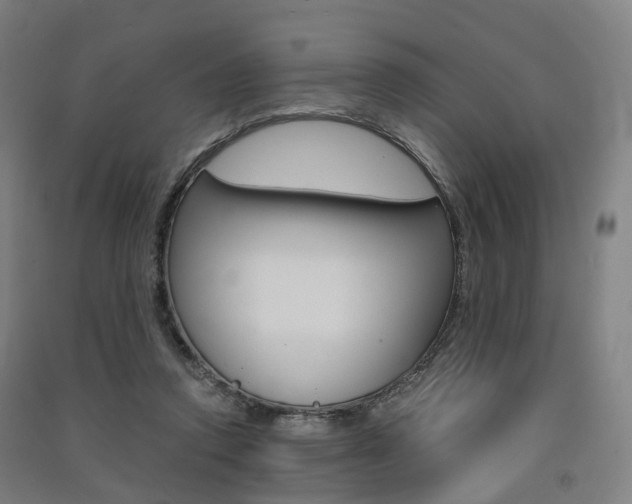 X0000091570354200708200956