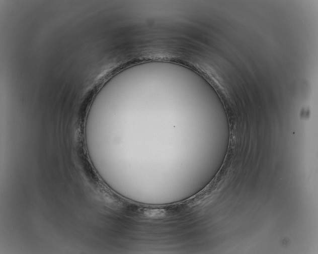 X0000091570355200708200956
