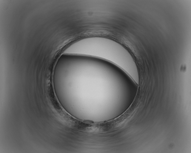 X0000091570356200708200956
