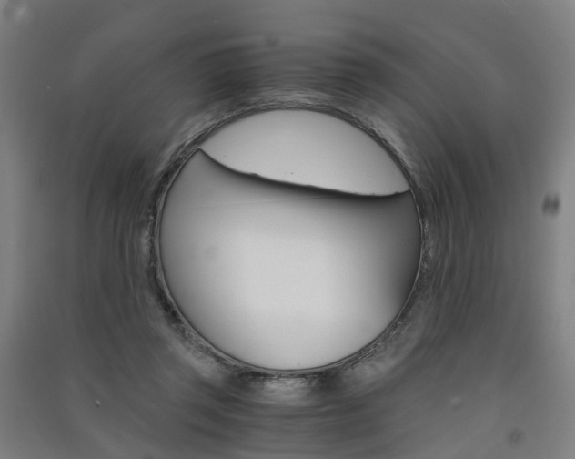X0000091570357200708200956
