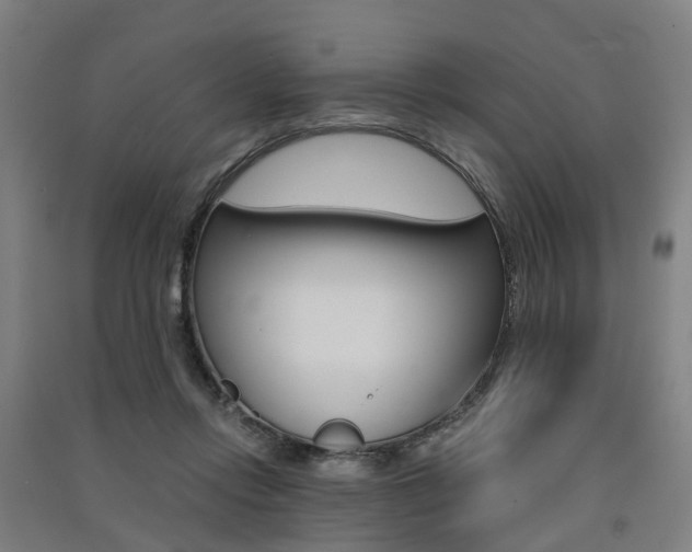 X0000091570358200708200956