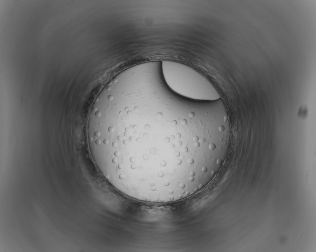 X0000091570359200708200956
