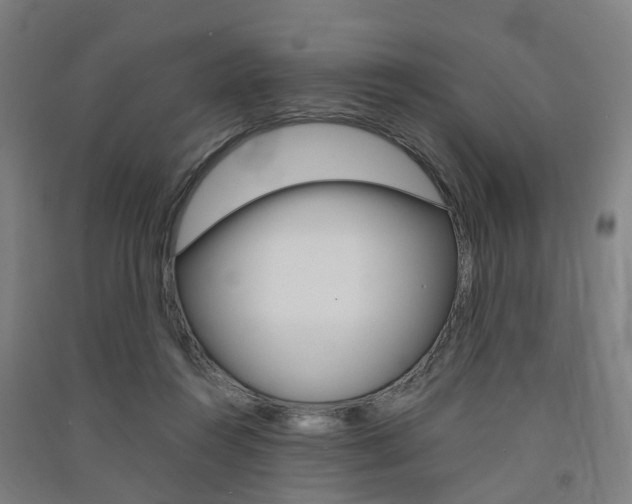 X0000091570360200708200956