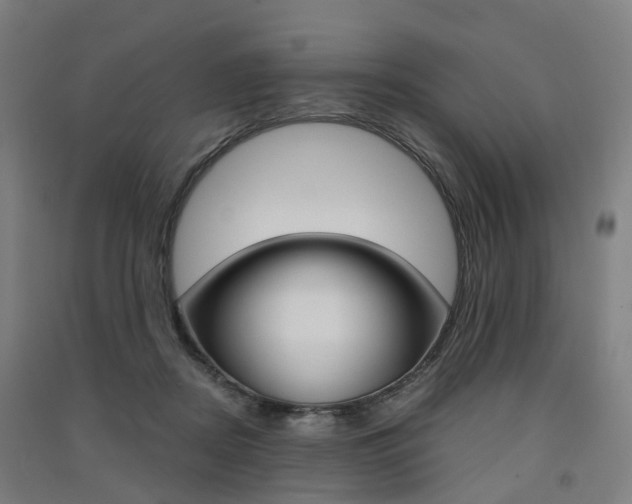 X0000091570362200708200956