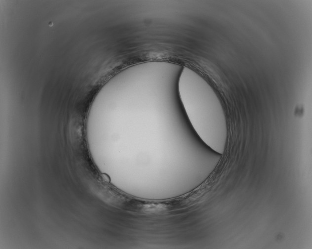 X0000091570363200708200956