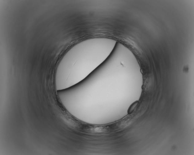 X0000091570365200708200956