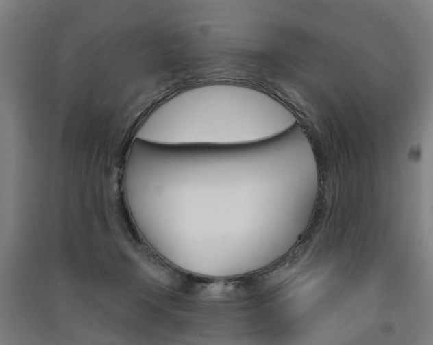 X0000091570366200708200956