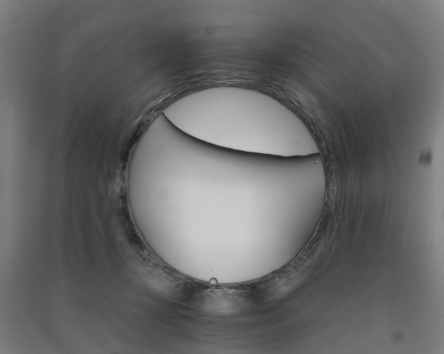 X0000091570367200708200956