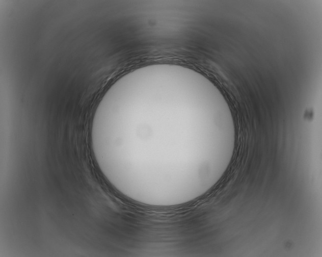 X0000091570368200708200956