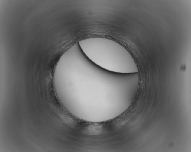 X0000091570369200708200956