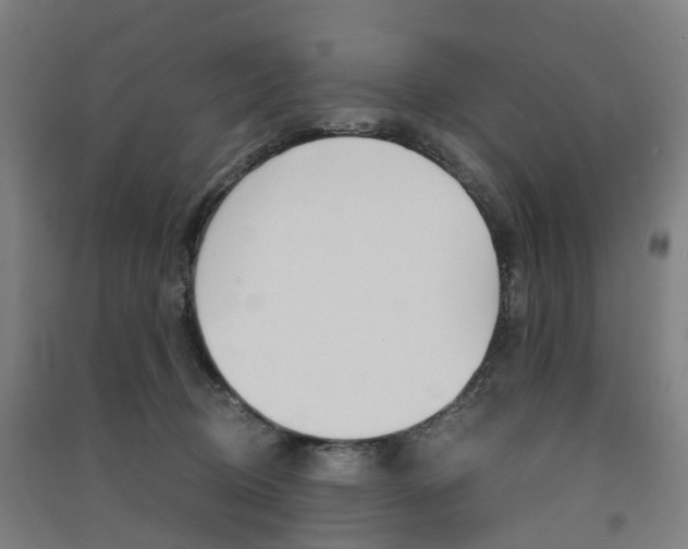 X0000091570370200708200956
