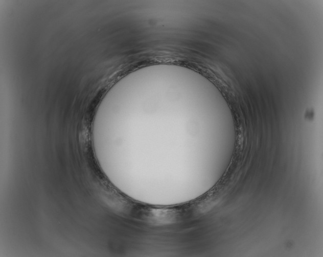 X0000091570371200708200956