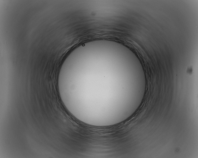 X0000091570372200708200956