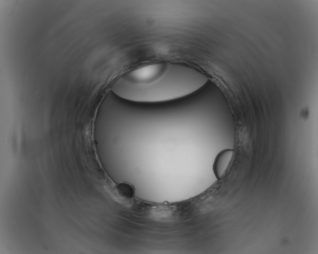 X0000091570373200708200956