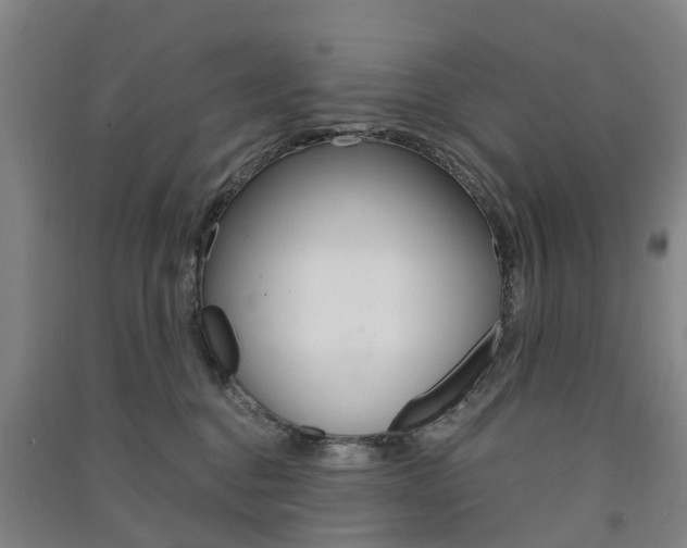 X0000091570376200708200956