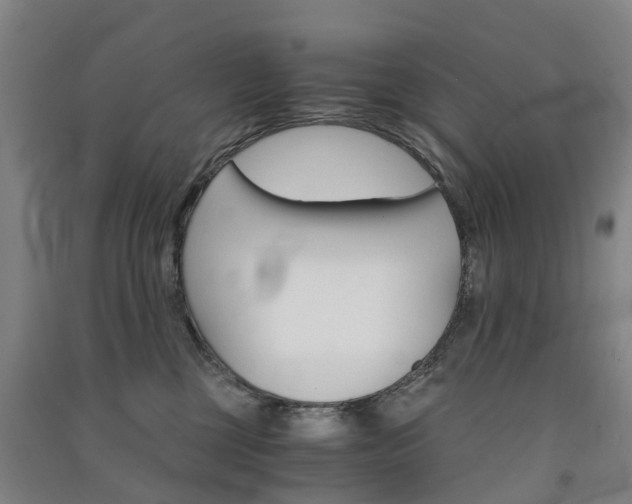 X0000091570377200708200956