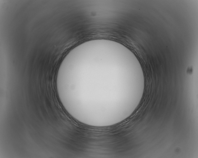 X0000091570378200708200956