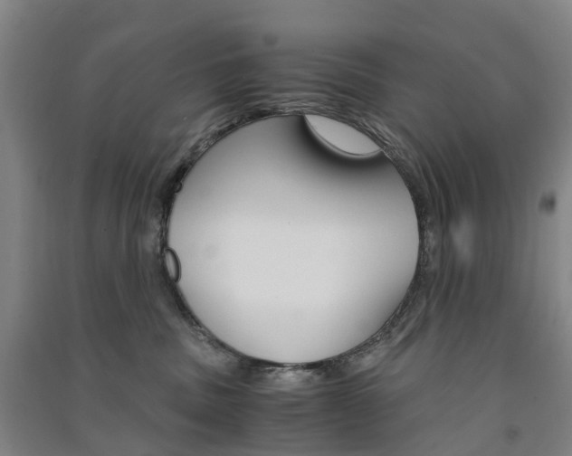 X0000091570379200708200956