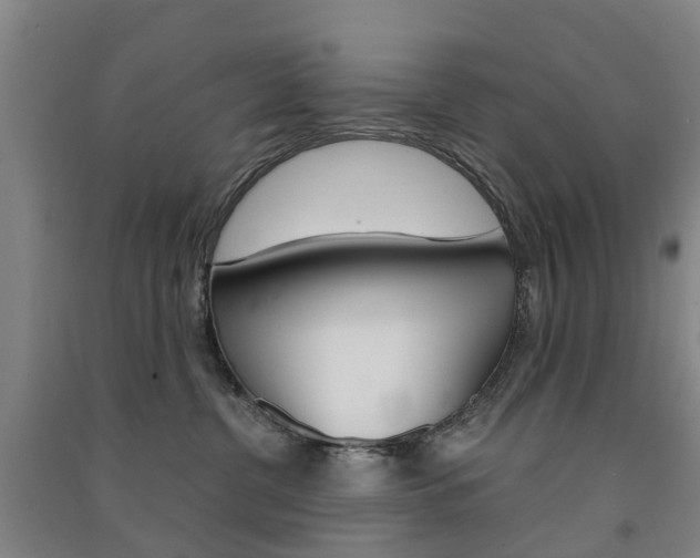 X0000091570380200708200956