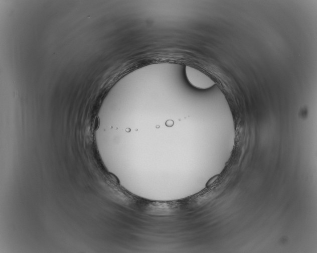 X0000091570381200708200956