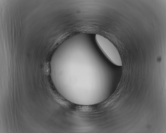 X0000091570383200708200956