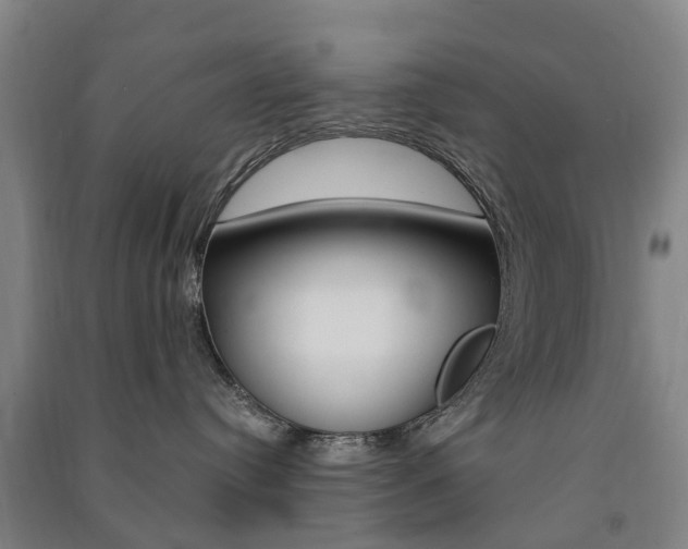 X0000091570384200708200956