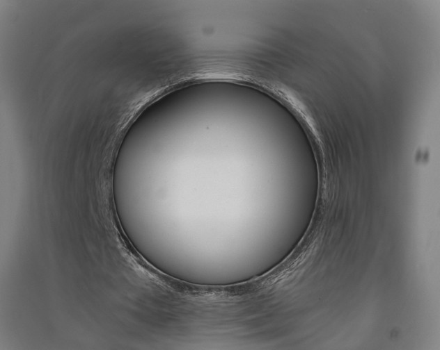 X0000091570385200708200956
