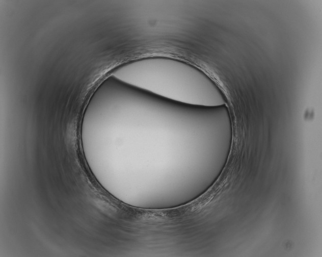 X0000091570386200708200956