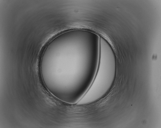 X0000091570387200708200956