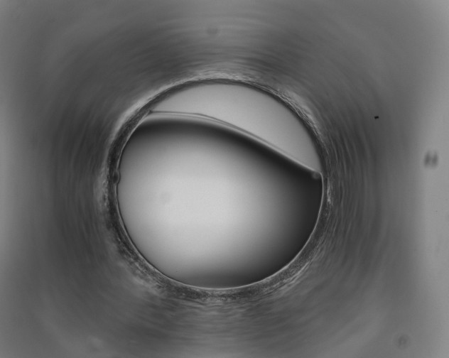 X0000091570388200708200956