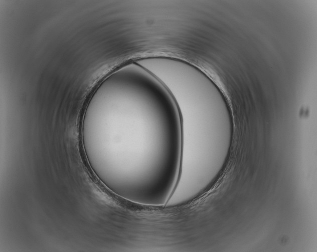 X0000091570389200708200956