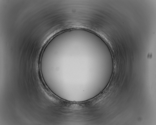 X0000091570390200708200956